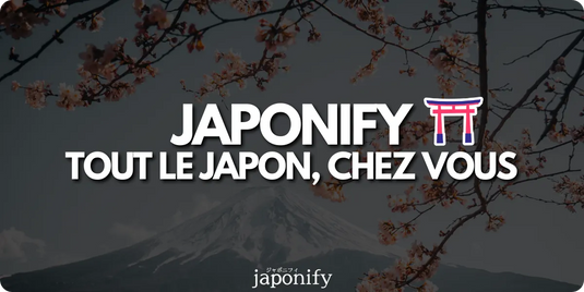 Japonify - Notre Histoire